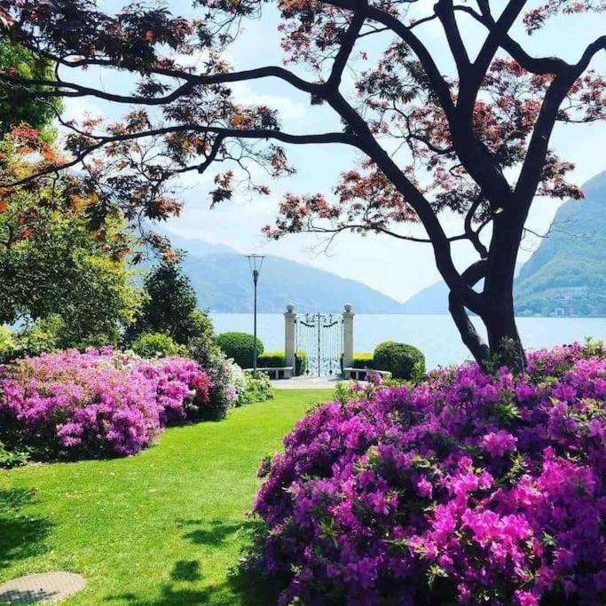 Urban Flat Daire Lugano Dış mekan fotoğraf