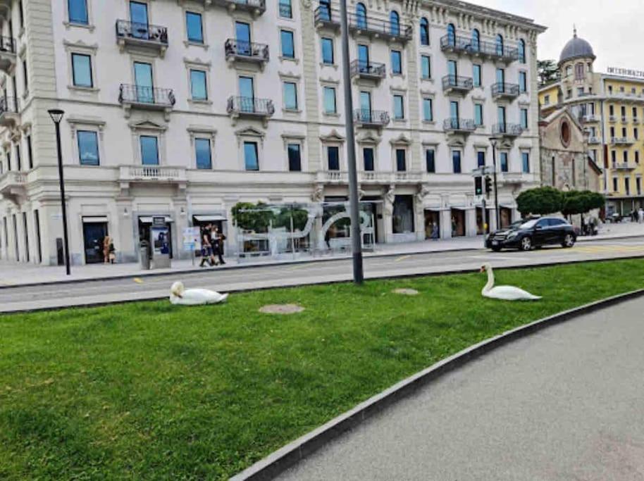 Urban Flat Daire Lugano Dış mekan fotoğraf