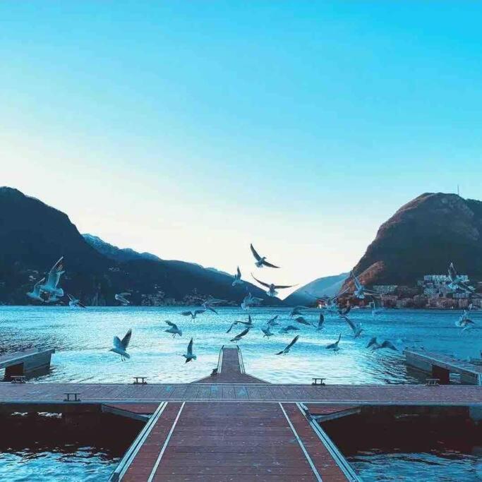 Urban Flat Daire Lugano Dış mekan fotoğraf